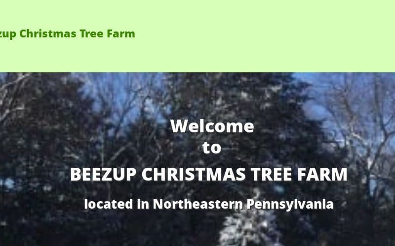 Beezup Christmas Tree Farm
