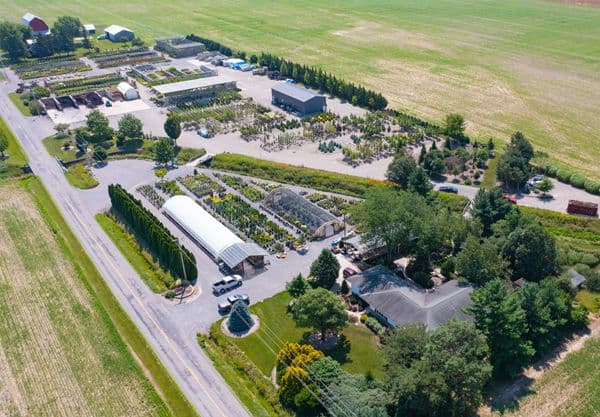 Beining Nursery & Landscaping
