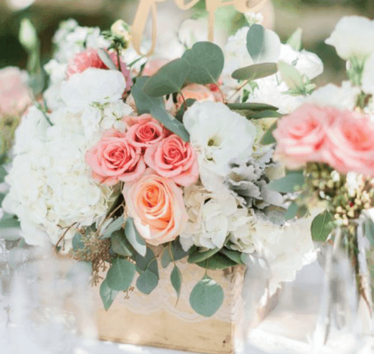 Bella Flora CT LLC