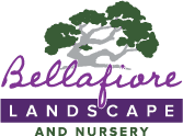 Bellafiore Landscaping & Nurse