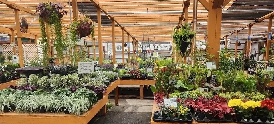 Bellevue Nursery