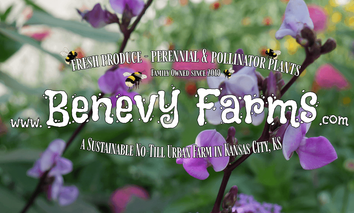Benevy Farms and Nursery