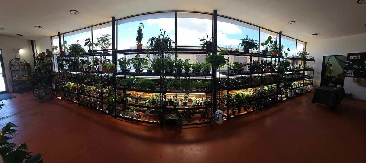 Benne's Botanical