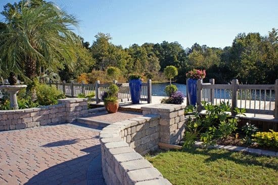 Bent Oak Nursery: Palm trees