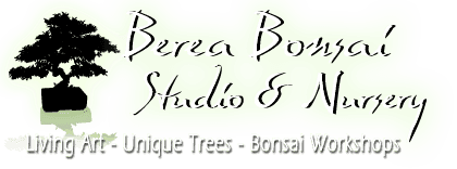 Berea Bonsai Studio