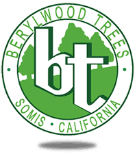 Berylwood Tree Farm