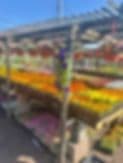 Better-Gro Garden Center