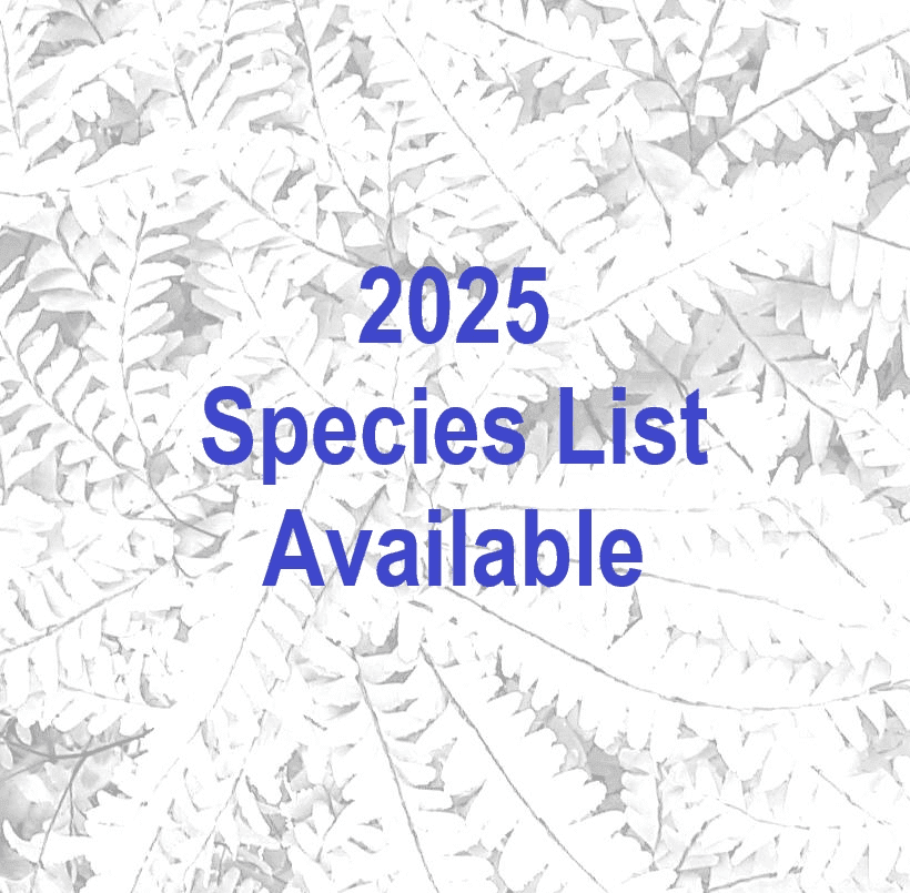 BetterFinds Native Plants