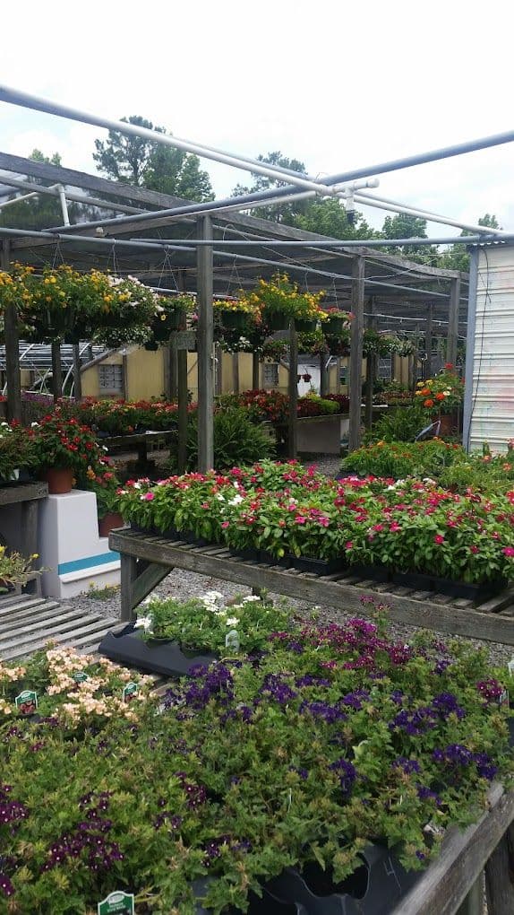 Bette's Garden Center