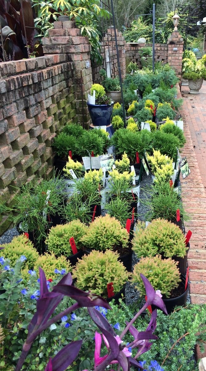 Big Bloomers Flower Farm