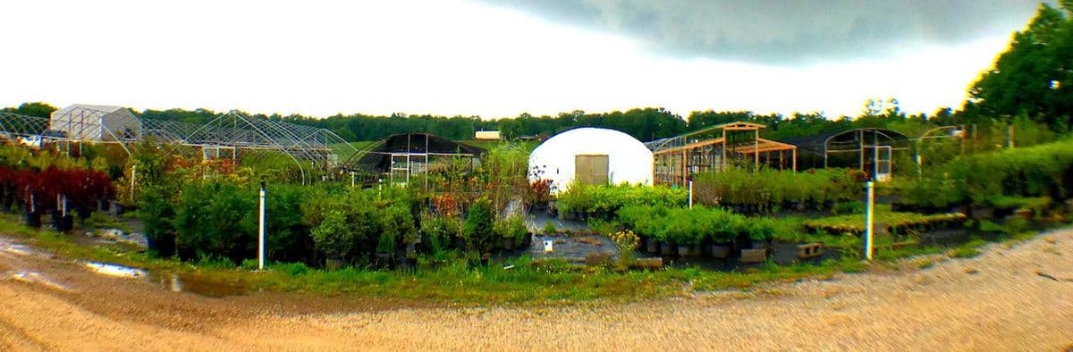 Big Creek Landscaping