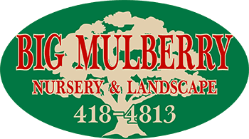 Big Mulberry Nursery & Landscape