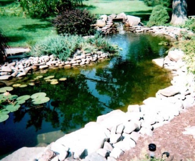 Big Tree Nursery and Landscaping
