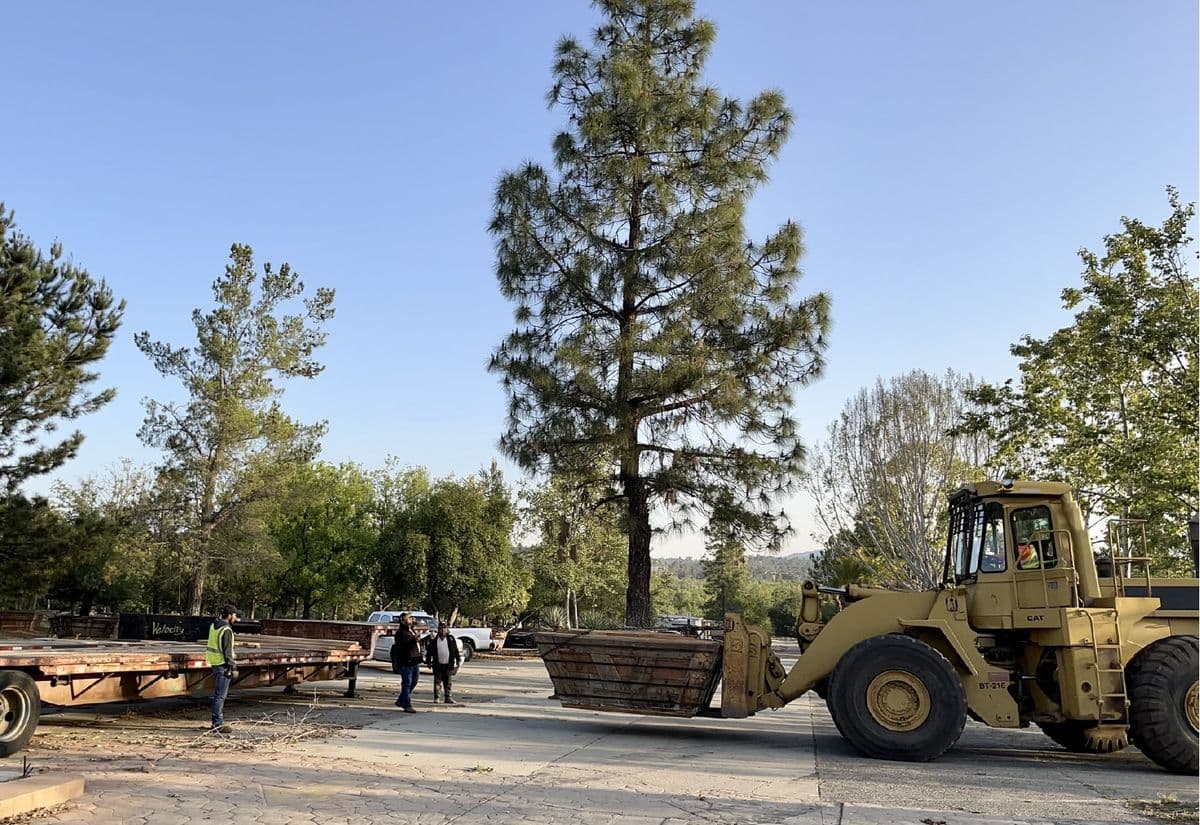 Big Trees Nursery Inc
