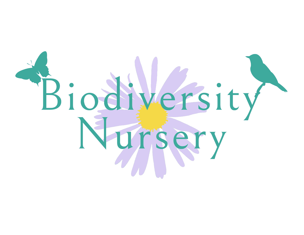 Biodiversity Nursery