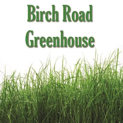 Birch Road Greenhouse