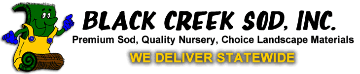 Black Creek Sod Inc