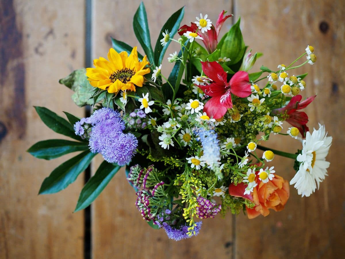 Black-Eyed Susan's Florist