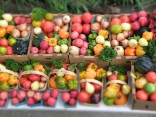 Black Horse Farms