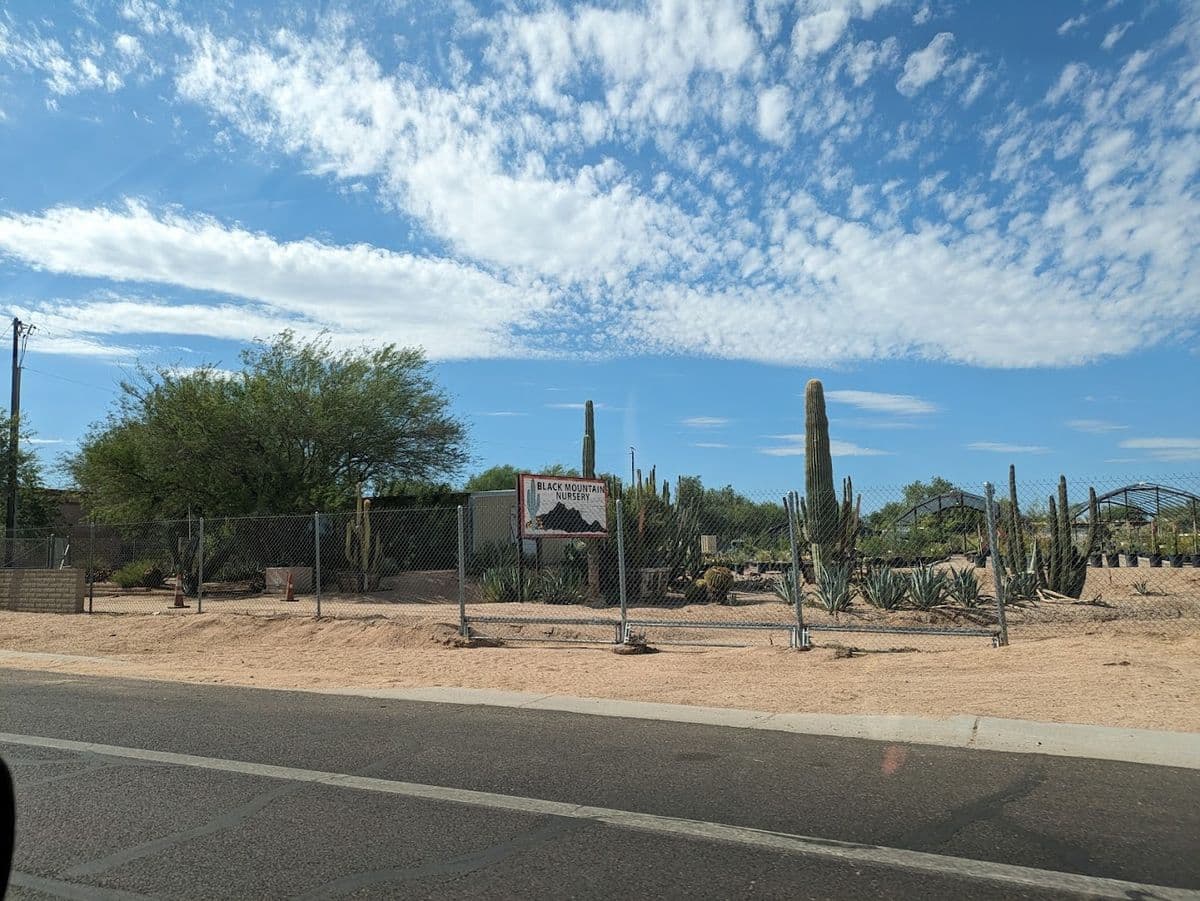 Black Mountain Nursery