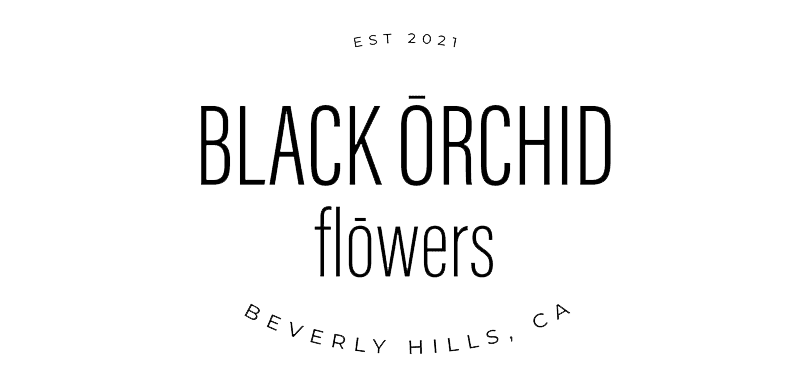 Black Orchid flowers
