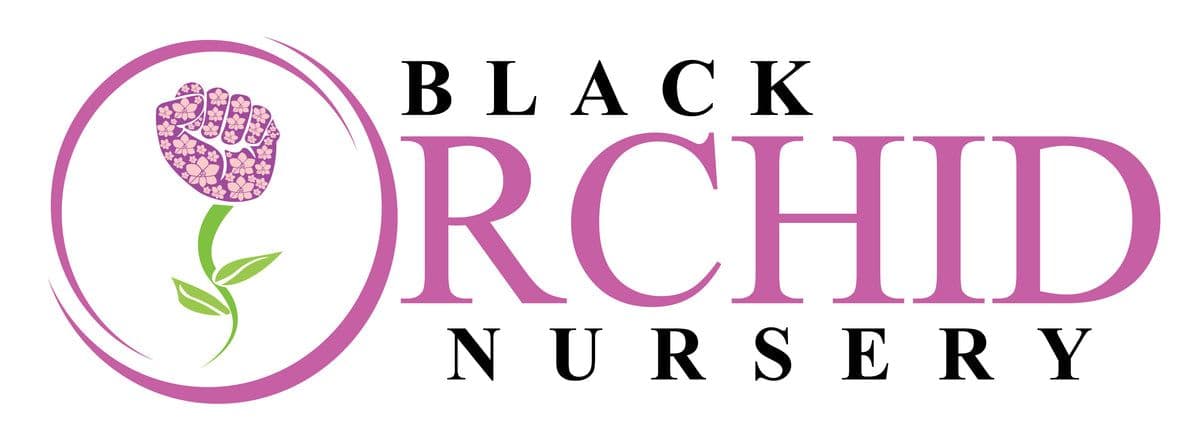 Black Orchid Nursery llc