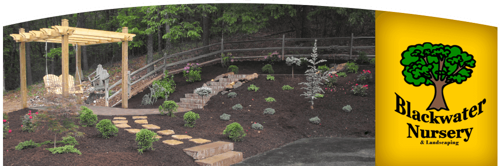 Blackwater Nursery & Landscaping