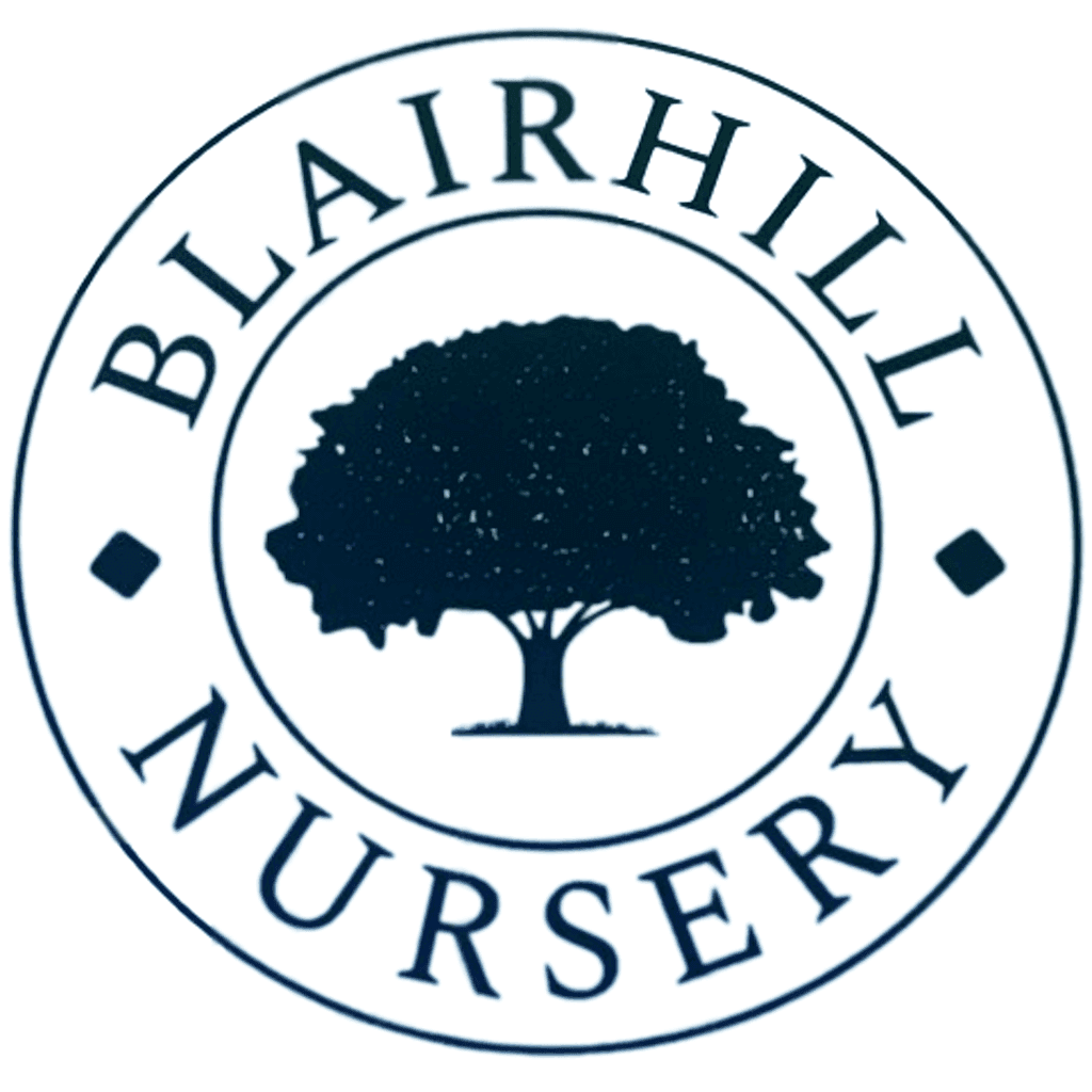 BlairHill Nursery