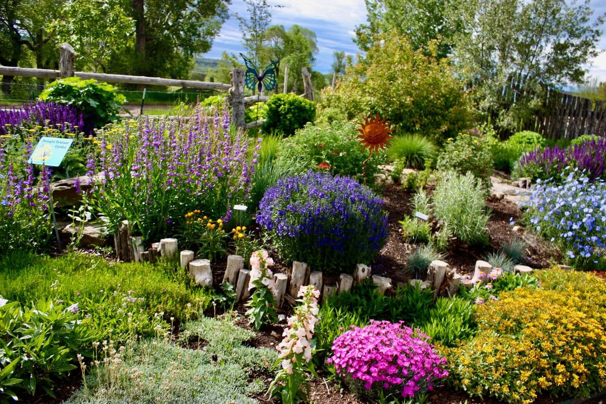 Blake Nursery