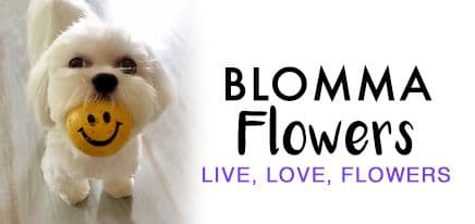 Blomma Flower Shop