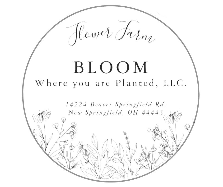 Bloom Where You are Planted