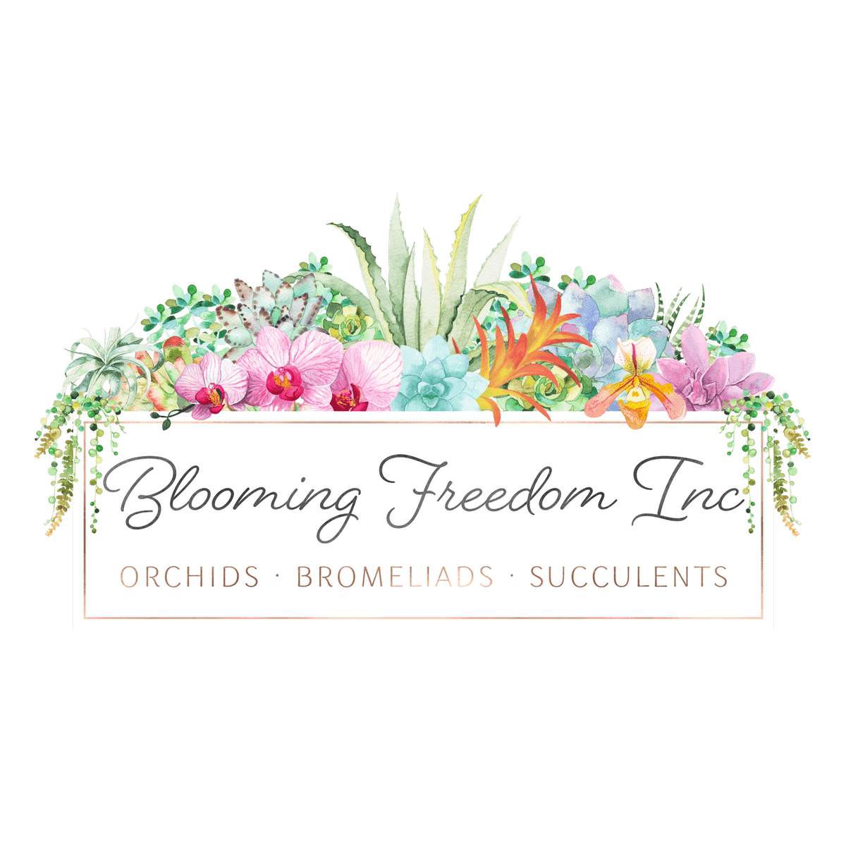 Blooming Freedom Inc