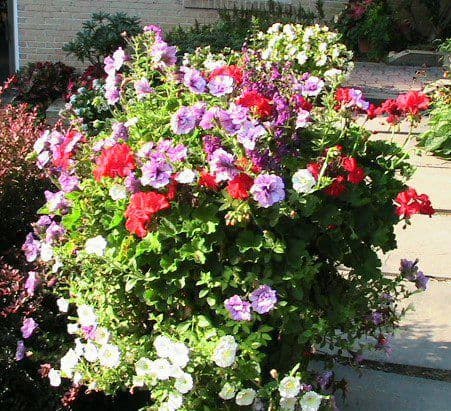Blooming Hill Farm