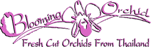 Blooming Orchid, LLC