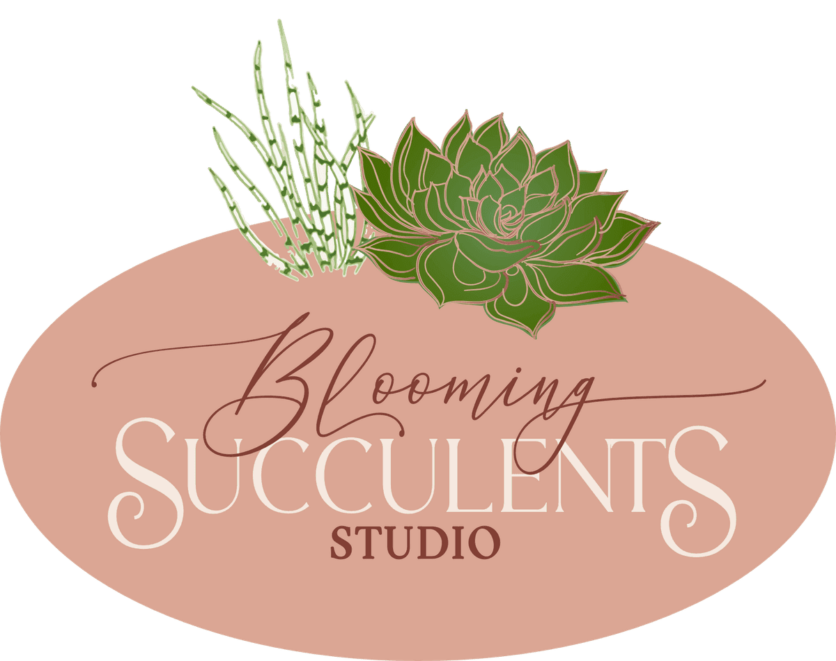 Blooming Succulents Studio, LLC