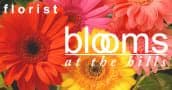 Blooms at the Hills Florist