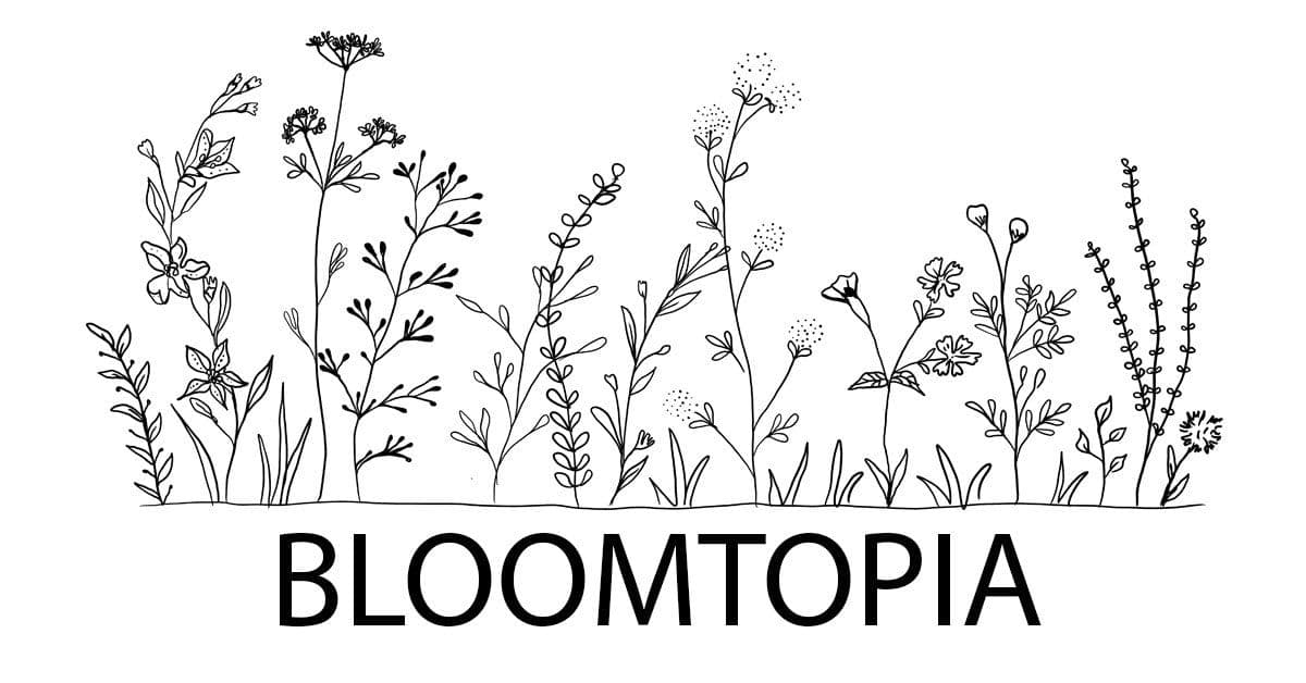 Bloomtopia Flowers and gifts