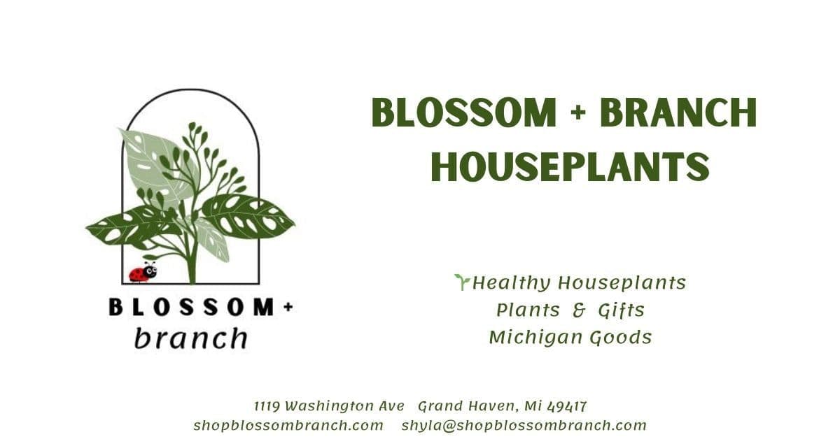 Blossom + Branch Houseplants