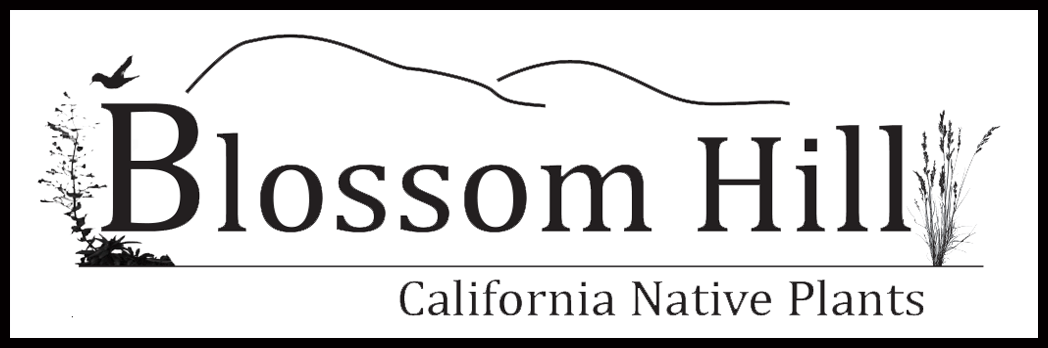 Blossom Hill Native Nursery