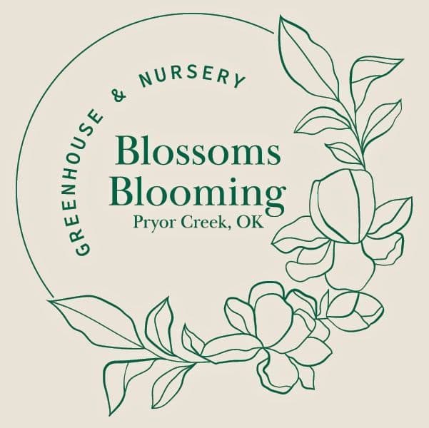 Blossoms Blooming
