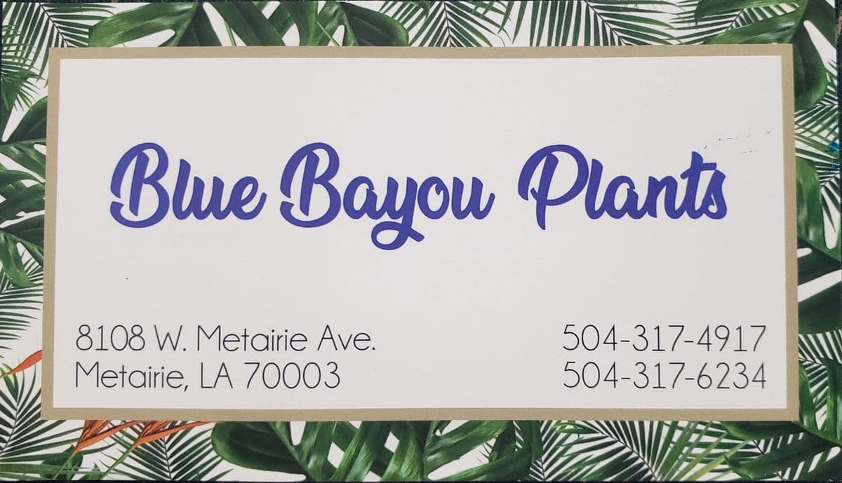 Blue Bayou Plants