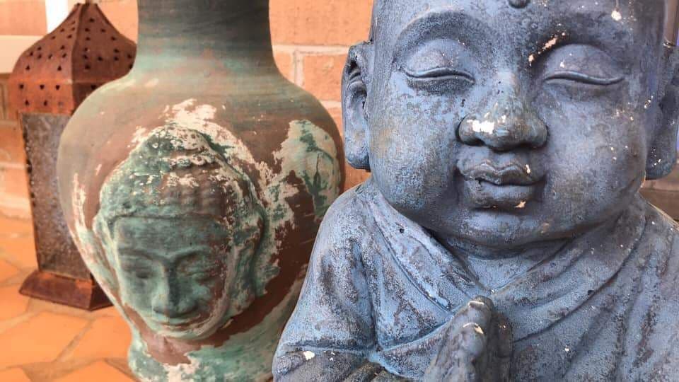 Blue Buddha Farm