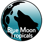 Blue Moon Tropicals