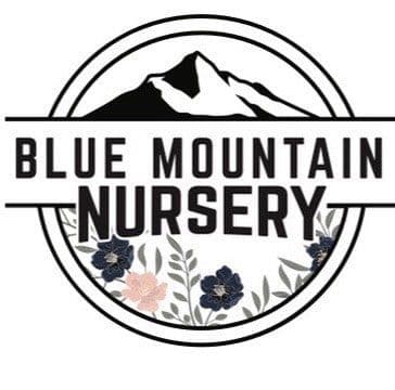 Blue Mountain Nursery