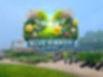 Blue Ribbon Nursery & Landscaping