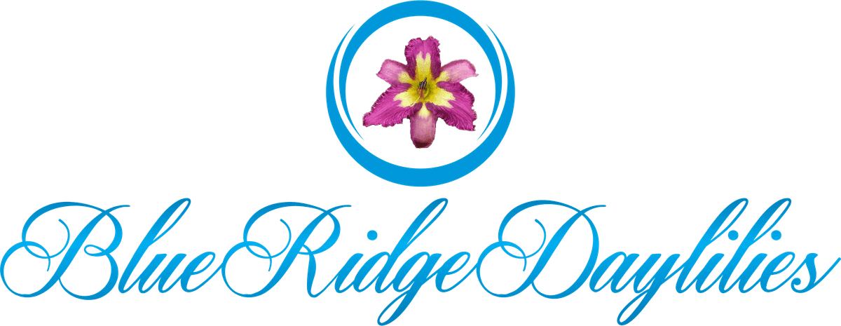 Blue Ridge Daylilies