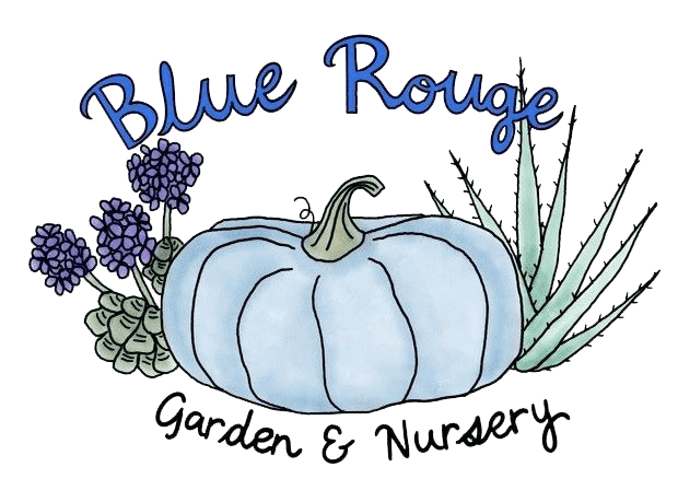 Blue Rouge Garden & Nursery