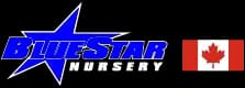 Blue Star Nursery