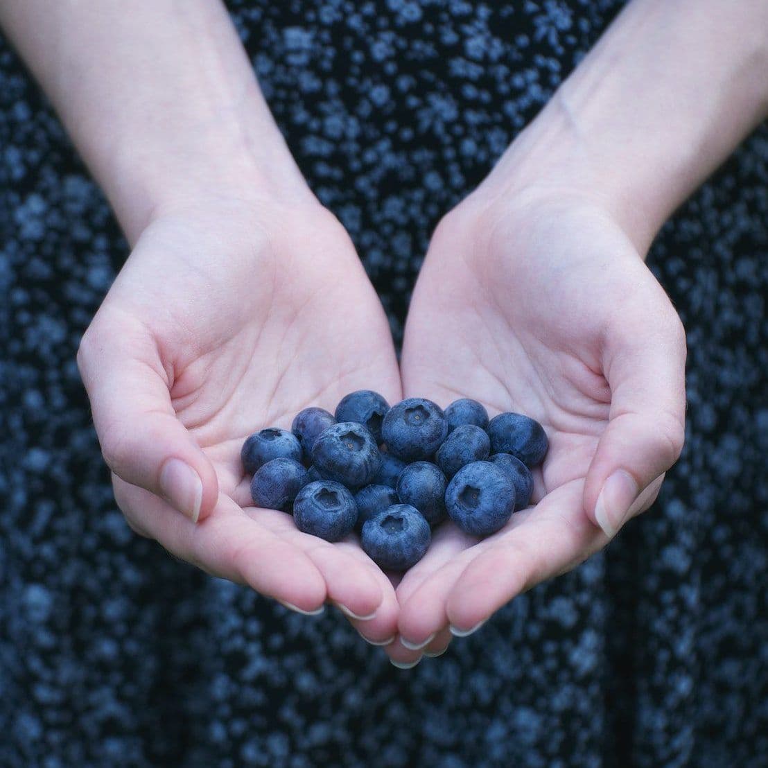 Bluegrass Blueberries