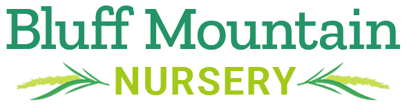 Bluff Mountain Nursery